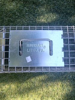 Cage Trap Small Animals