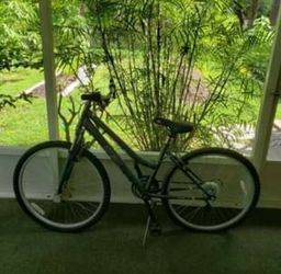 DBX bicycle