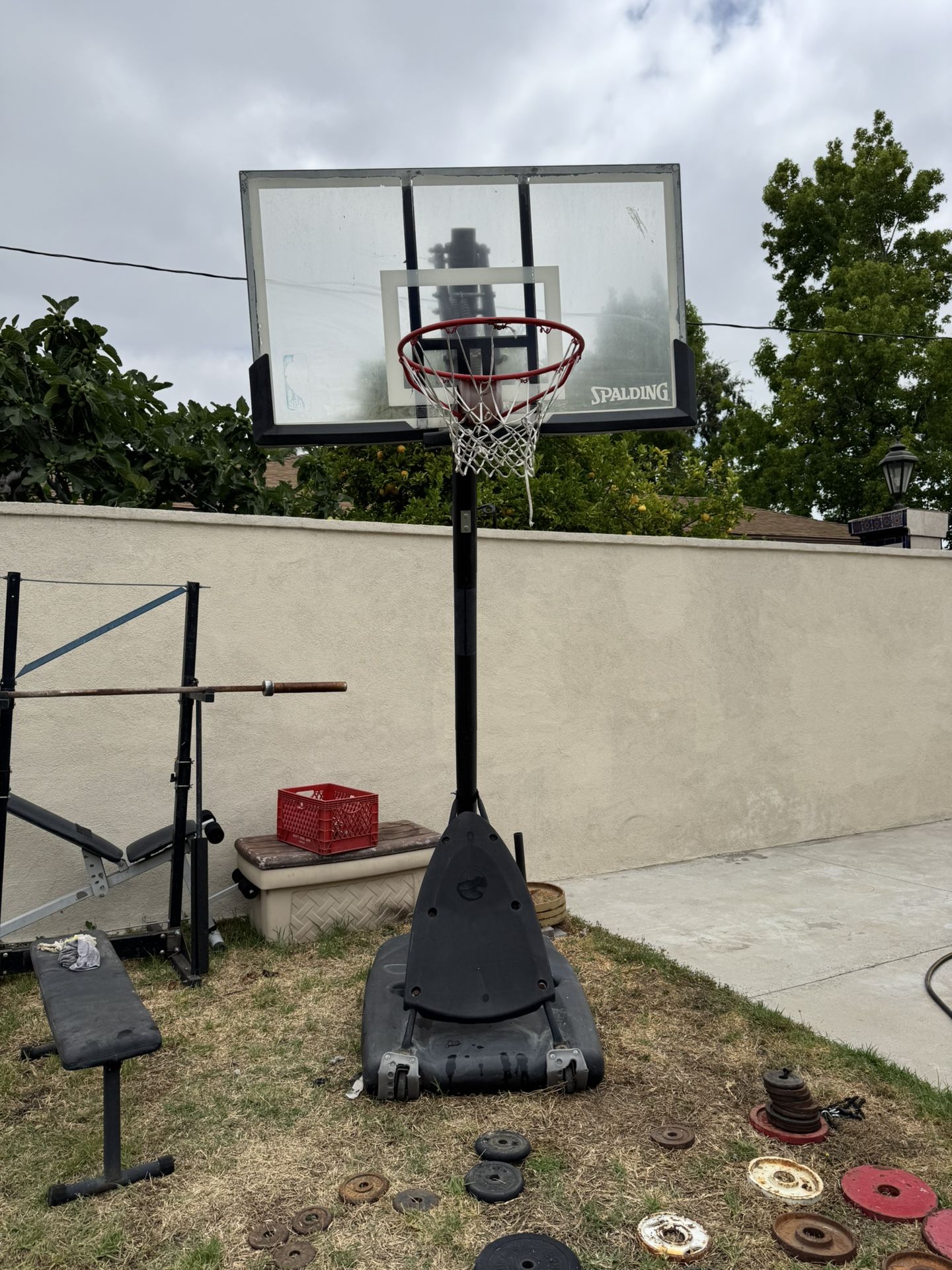 Basketball Hoop