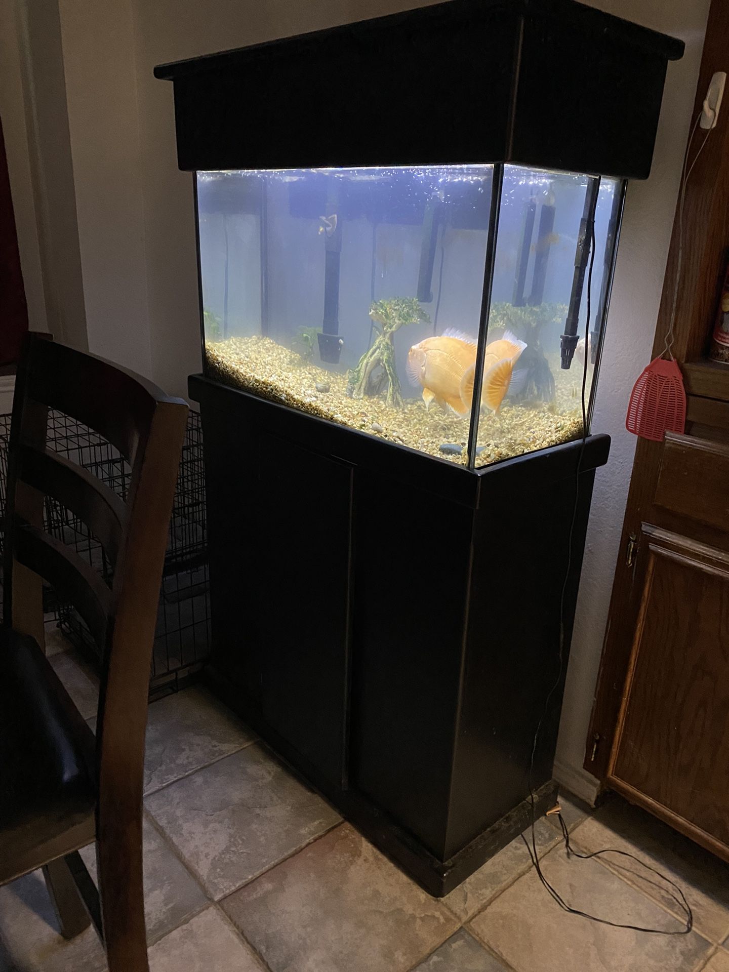 Fish Aquarium and Stand