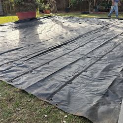 Tarp
