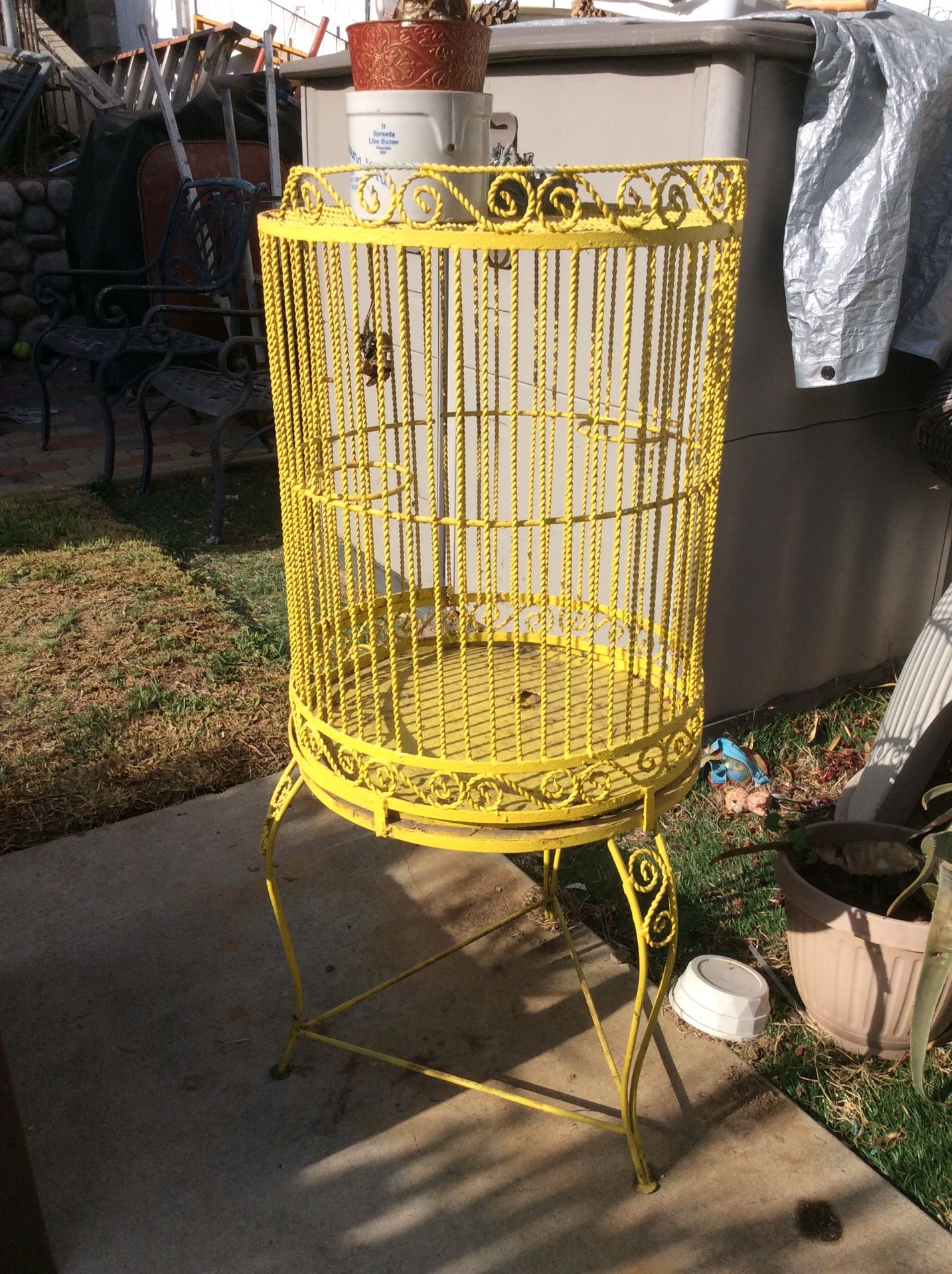 Bird Cage