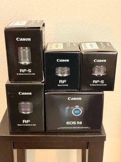 Canon R8 and Multiple Lenses