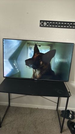 55inch Roku tv great condition comes with mount to put on your wall