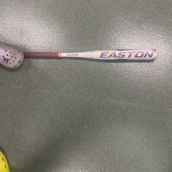 Easton Bat 30 Inch