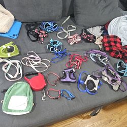 Colar, Harness & Leash
