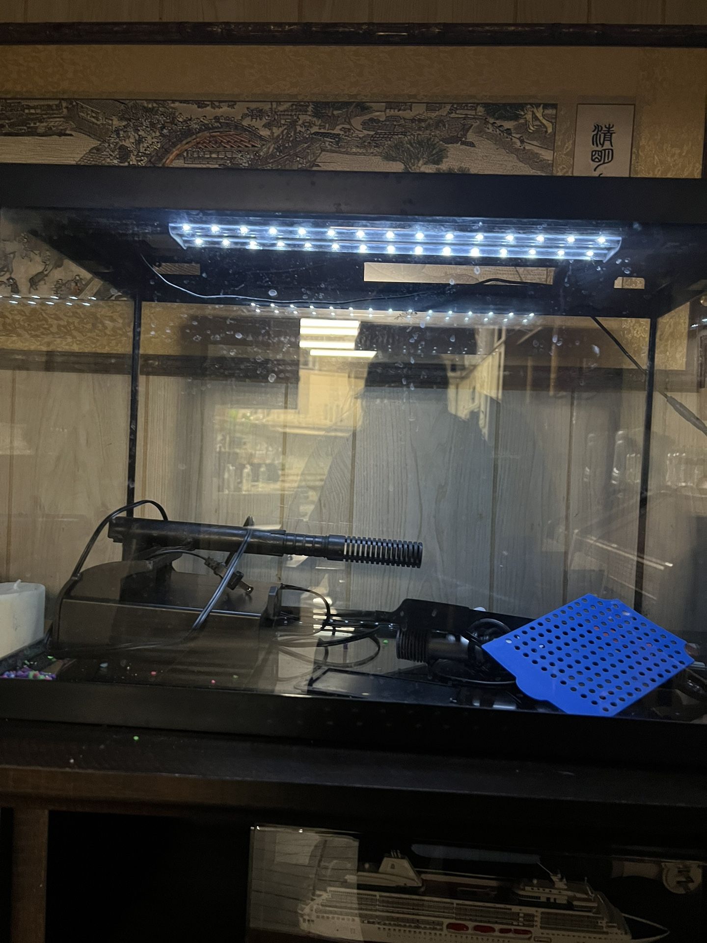 Bubble Wall Aquarium