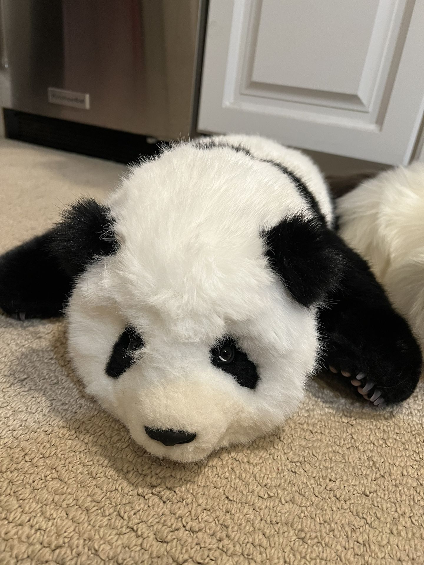 Stuffed animal