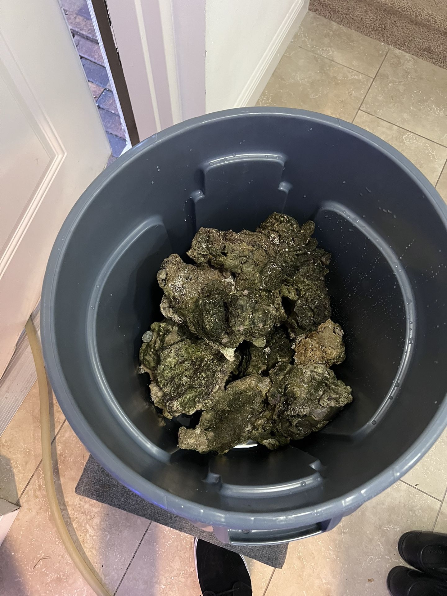Aquarium Rock
