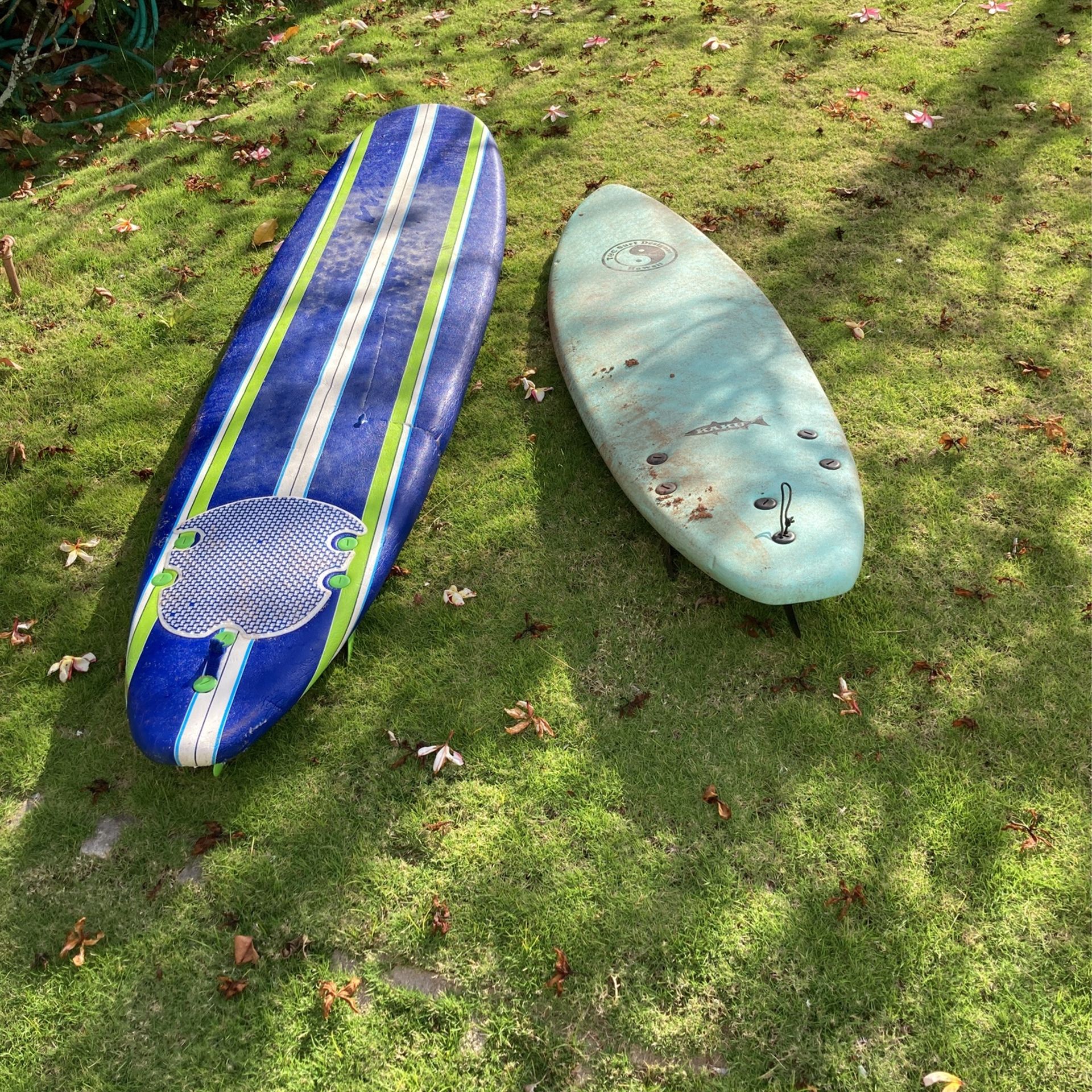 Softop Surfboards 