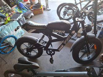 Ludodo Sports Electric Fat Tire Bike
