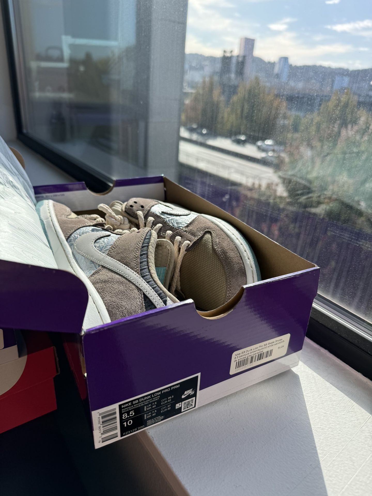 Nike SB Dunk Big Money Savings