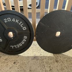 45lbs Plates