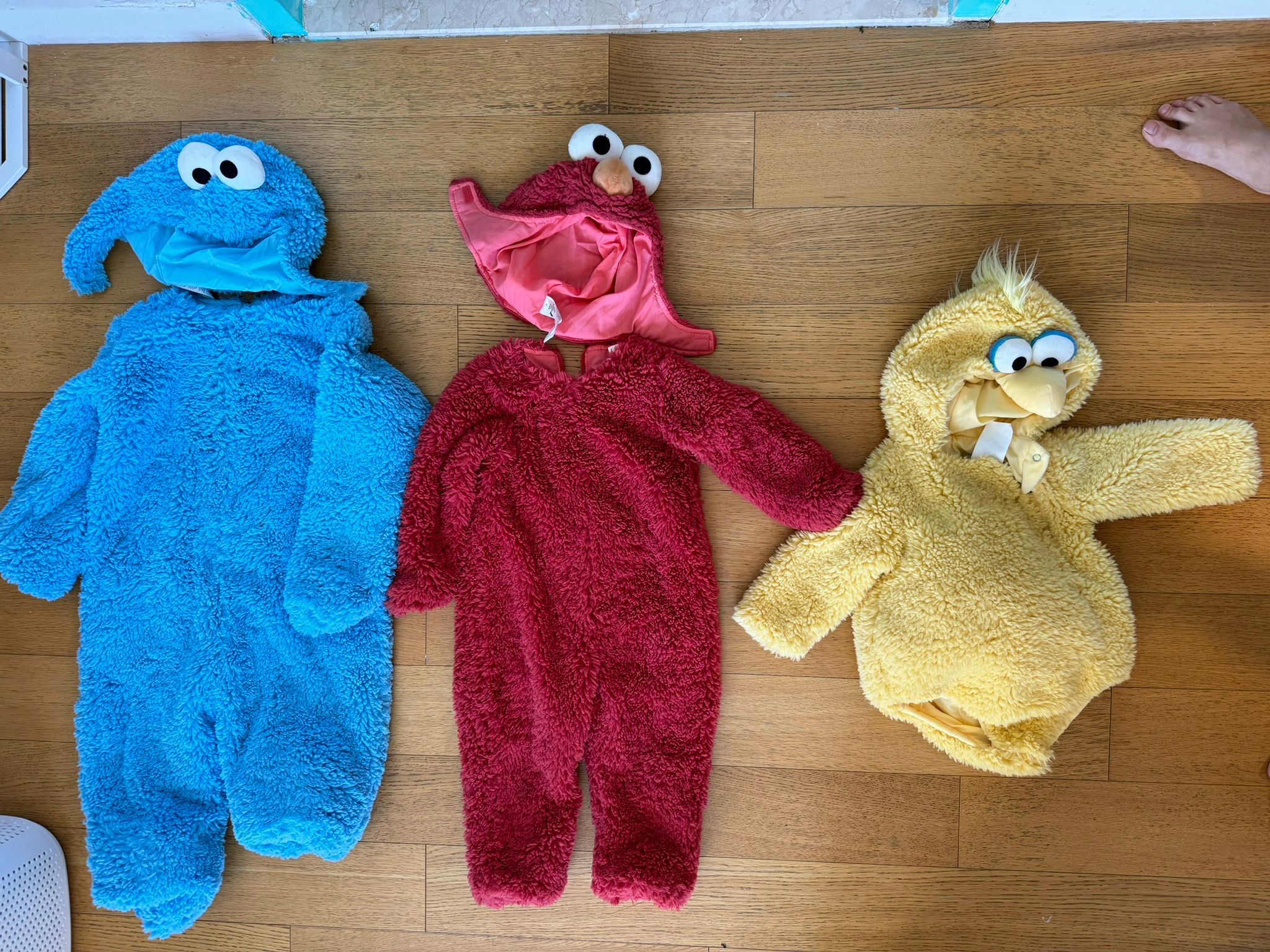 PotteryBarn Toddler Sesame Street Costumes