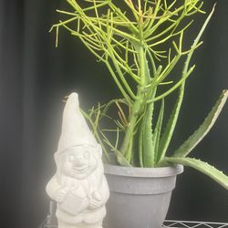 Plant Tools Gnome All $40 