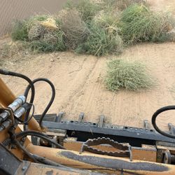 Easement cleanup