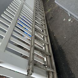 Ladder