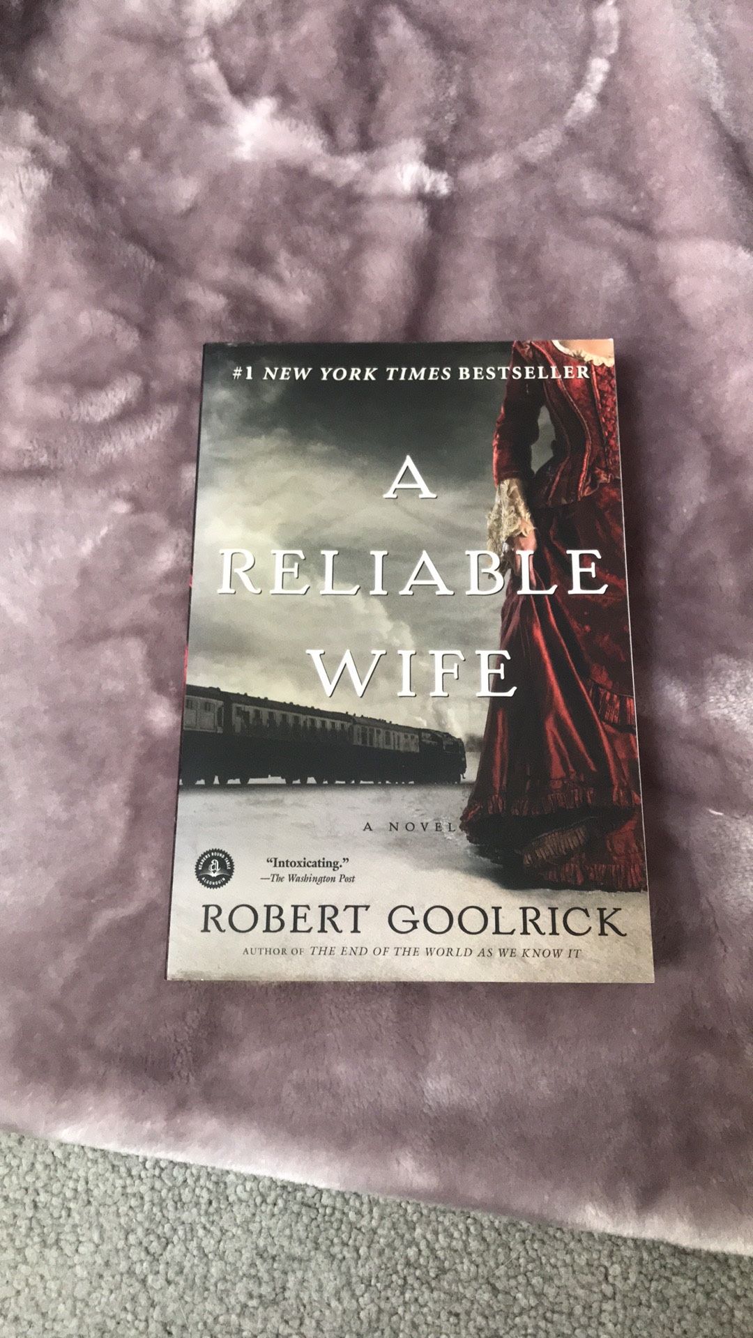 “A Reliable Wife” Novel