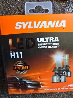 H11 LED Lights