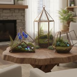 Geometric terrariums