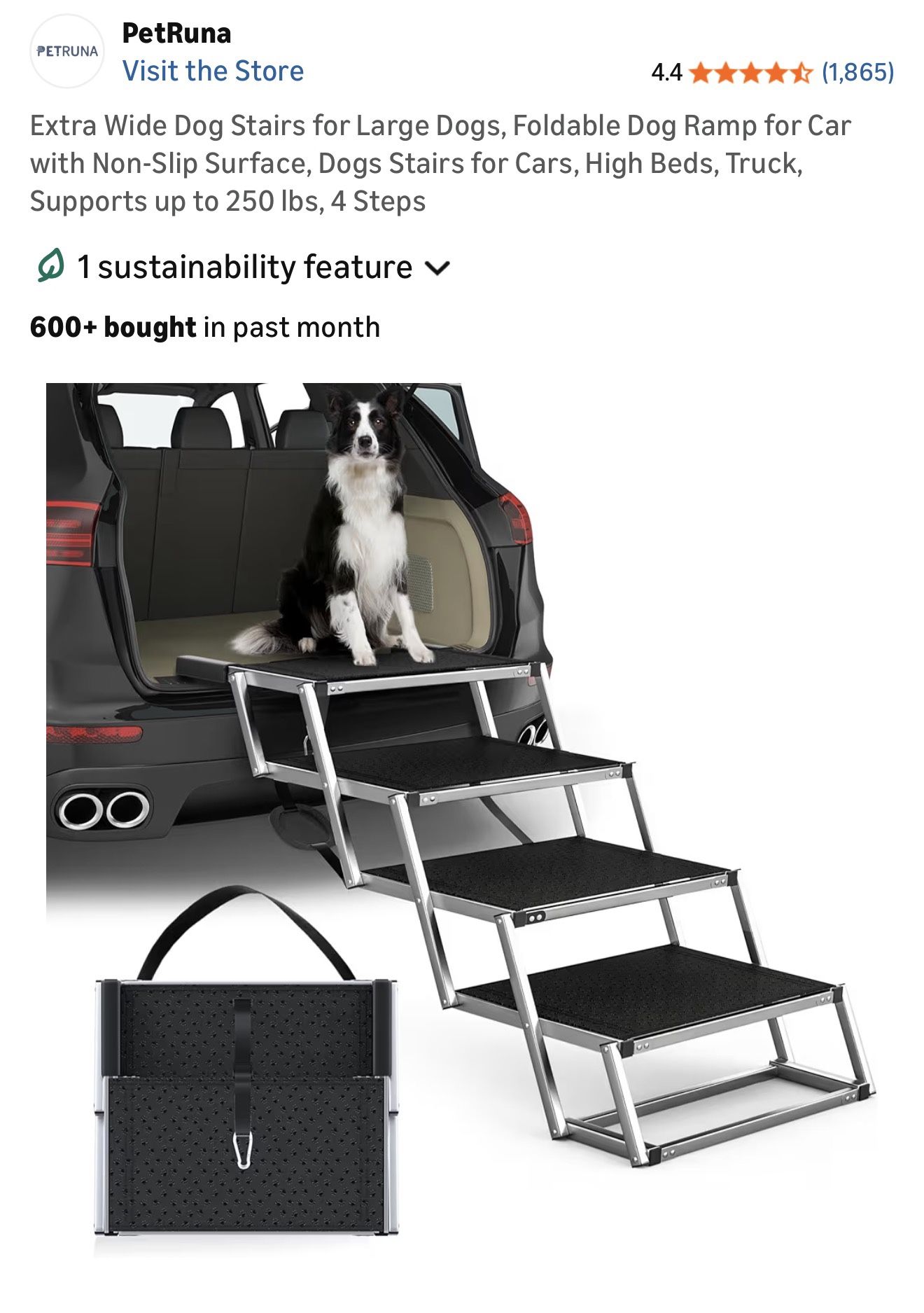Dog Ramp