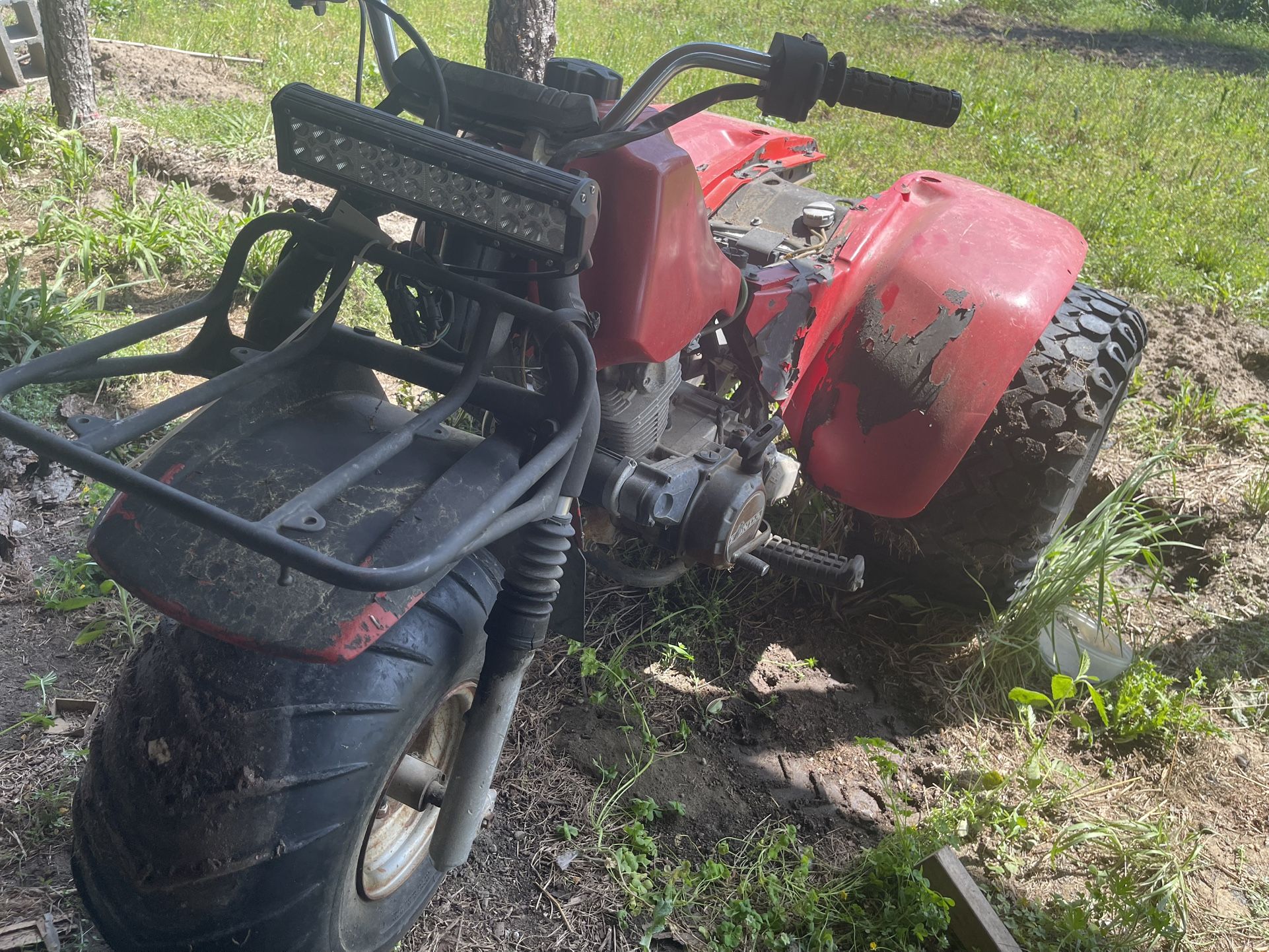 For Sale