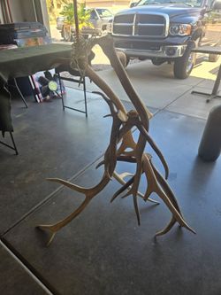 Elk antler lamp