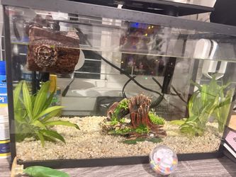 Fish tank