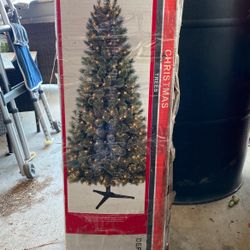 Tree Pine 🌲