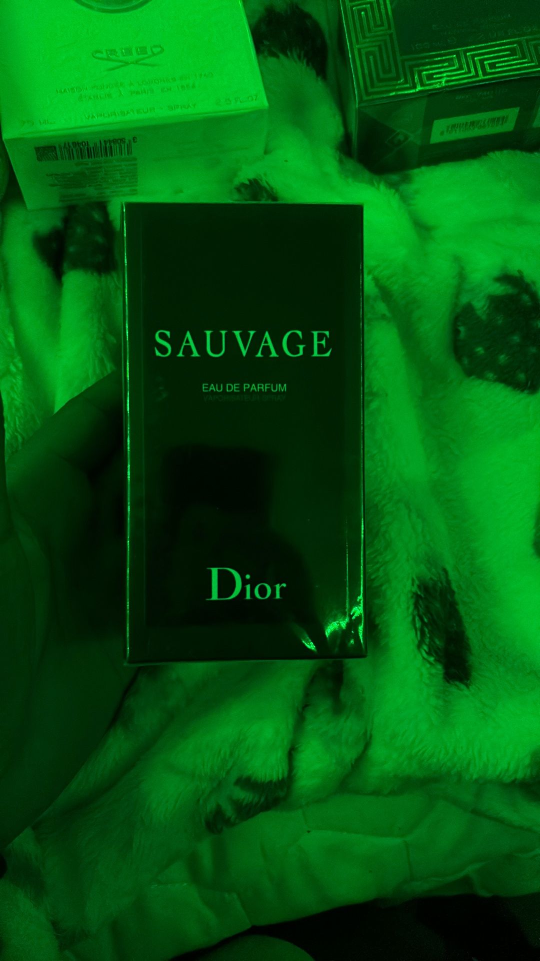 Dior sauvage