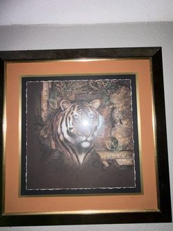 Animal portraits
