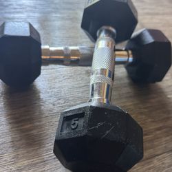 5LB Dumbbell Pair