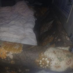 Bed Pull Out Couch