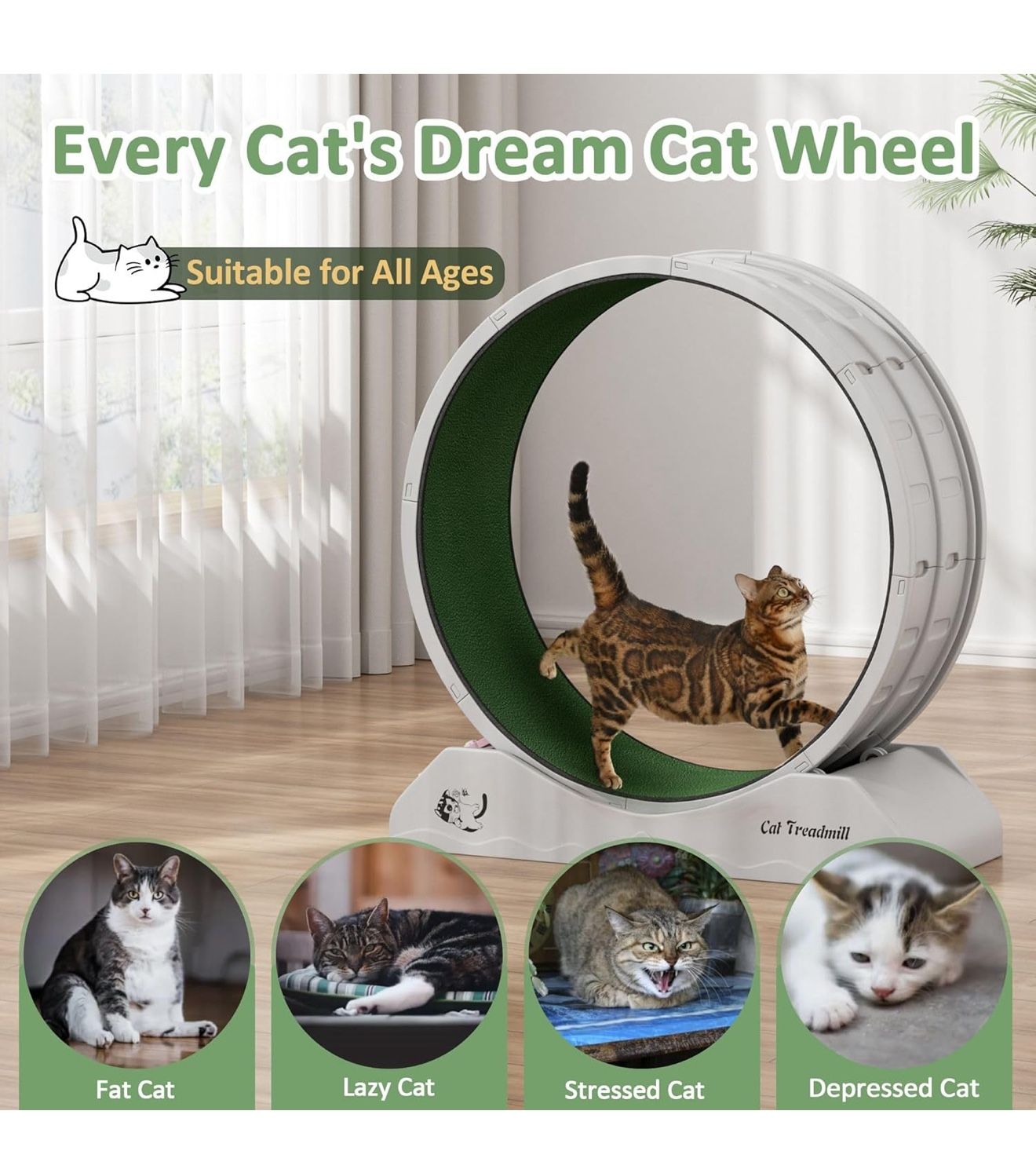 Cat Exercise Wheel, 31.5 Inch Cat Treadmill for Indoor Cats, Cats Running Wheel with Updated Enhanced Base and Carpeted Runway for Cat's Longer Life a