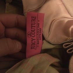 Juicy Couture Purse