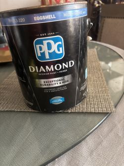 Diamond Interior Paint&Hide 