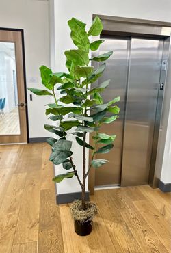 Artificial Fiddle Leaf Fig Tree,