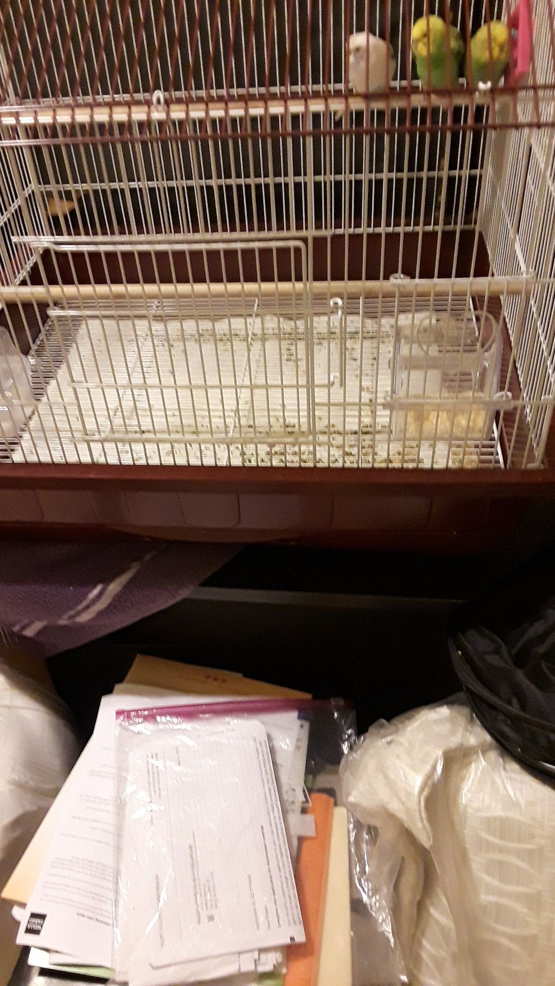 new bird cage