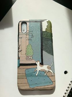 iPhone x/xs case