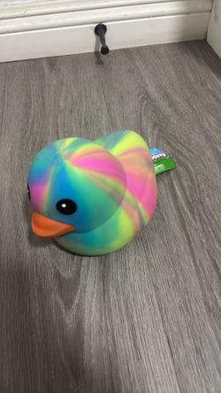 Viral rainbow duck squishy