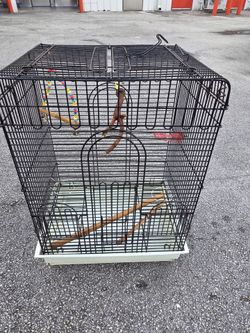 Jaula/ Cage