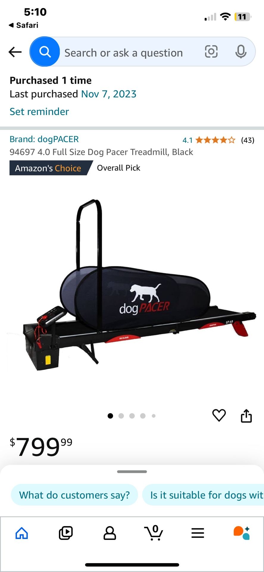 Dog Treadmill