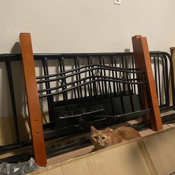 Metal Bed Frame (Cat Not Included !!!)