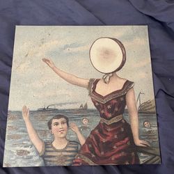 Neutral Milk Hotel Vinyl