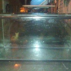 40 Gallon Fish Tank Aquarium