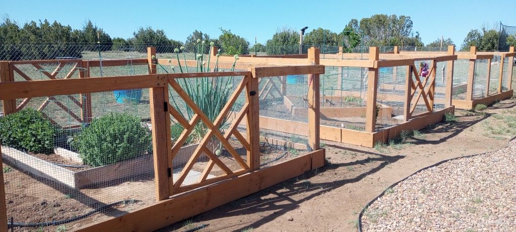Garden Bed 10 Feet X 10 Feet