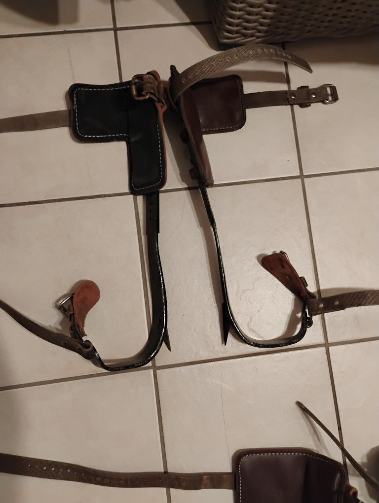 Espuelas Para Subir En El Arbol