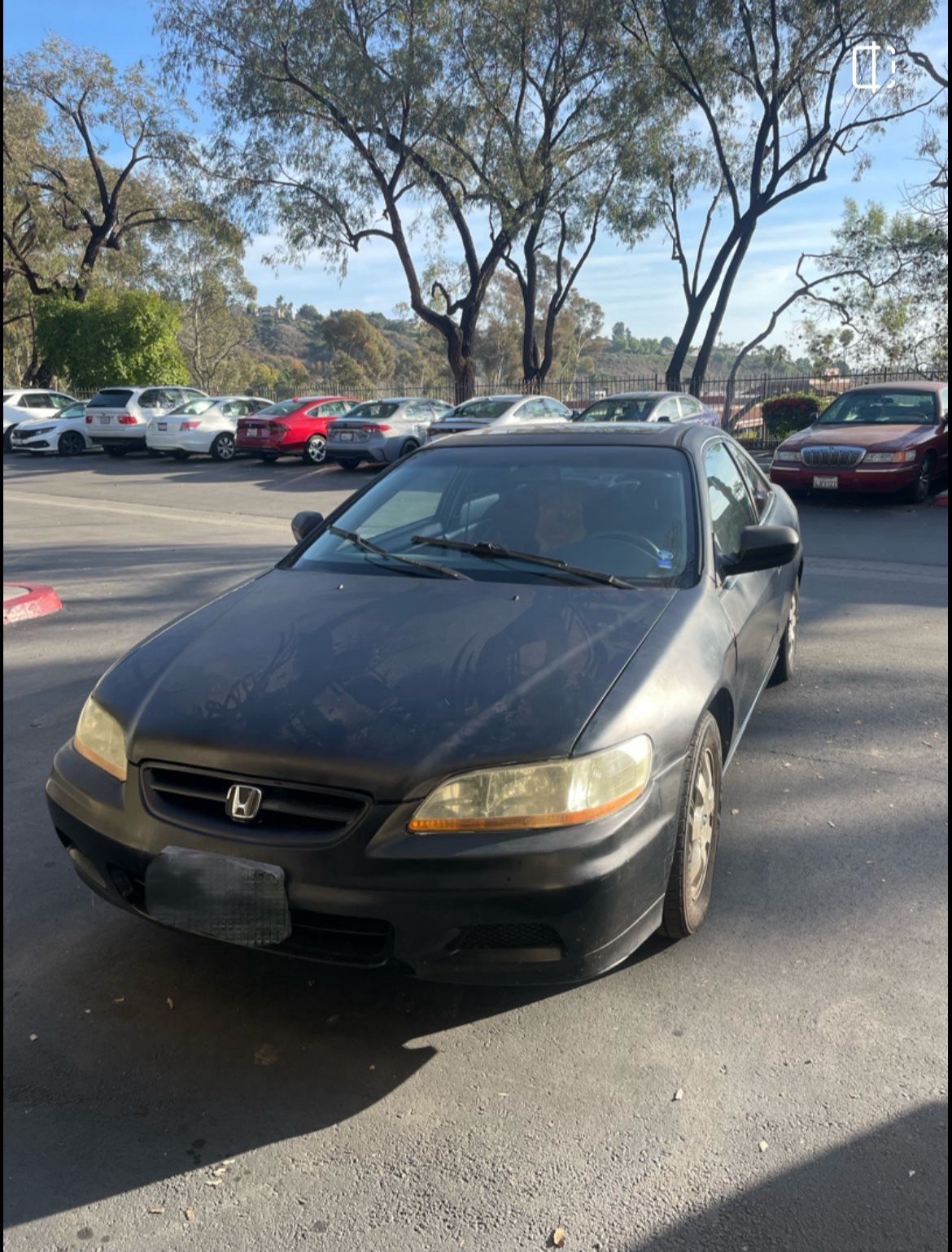 2001 Honda Accord