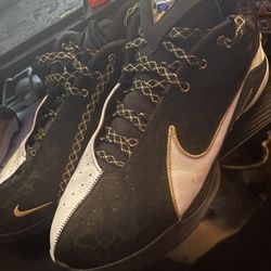 LeBron 22 Size 12 