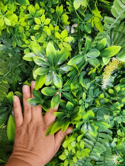 Set Of 12 Panels Green wall 20"x20" each / Back drop/ Set de 12 paneles de Pared verde cesped 20"x20" cada uno